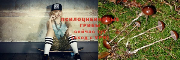 спайс Арсеньев