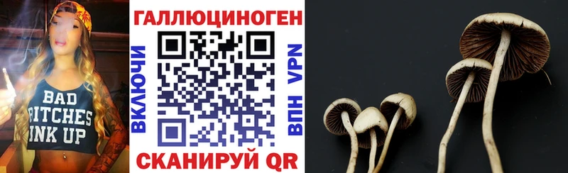Псилоцибиновые грибы Psilocybe  Полысаево 